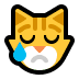 :crying_cat_face: