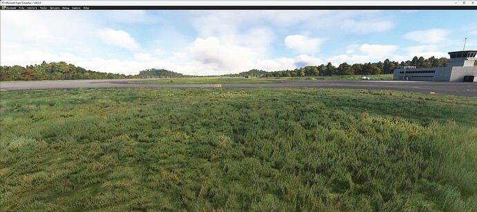 Microsoft Flight Simulator 2025_02_15 3_22_11