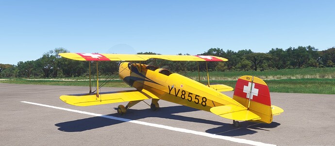 FlightSimulator2024_olFKSusoeH