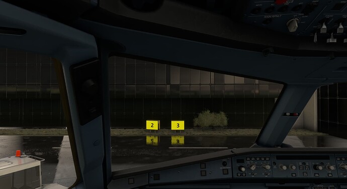 MSFS