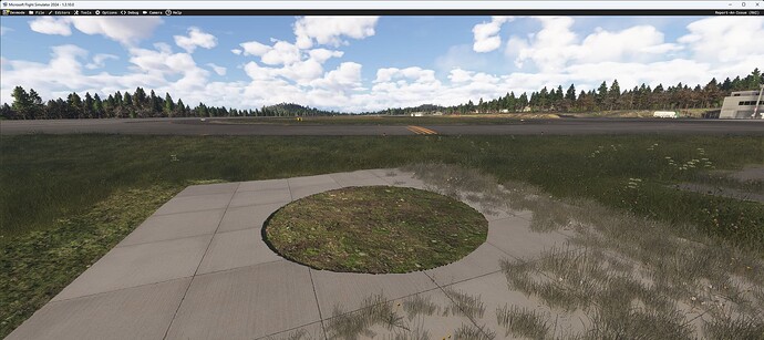 Microsoft Flight Simulator 2024 2025_02_09 15_38_27