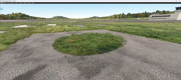 Microsoft Flight Simulator 2025_02_09 15_16_44