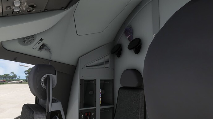 Microsoft Flight Simulator 2024 4_6_2025 13_10_57