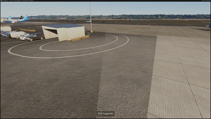 Microsoft Flight Simulator 2024 12_30_2024 10_19_33 AM