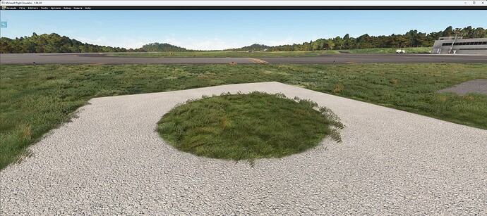 Microsoft Flight Simulator 2025_02_09 15_17_11