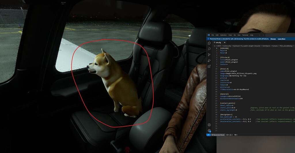 how-to-get-a-custom-pilot-model-to-show-in-cockpit-view-aircraft