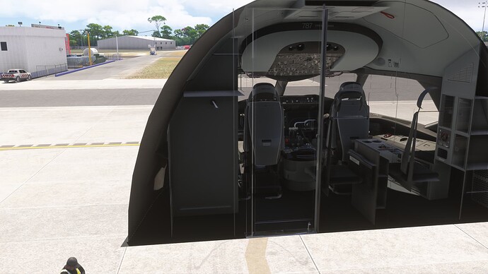 Microsoft Flight Simulator 2024 4_6_2025 13_51_52