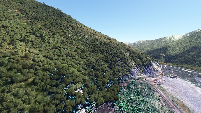 Microsoft Flight Simulator 20_03_2025 14_55_32